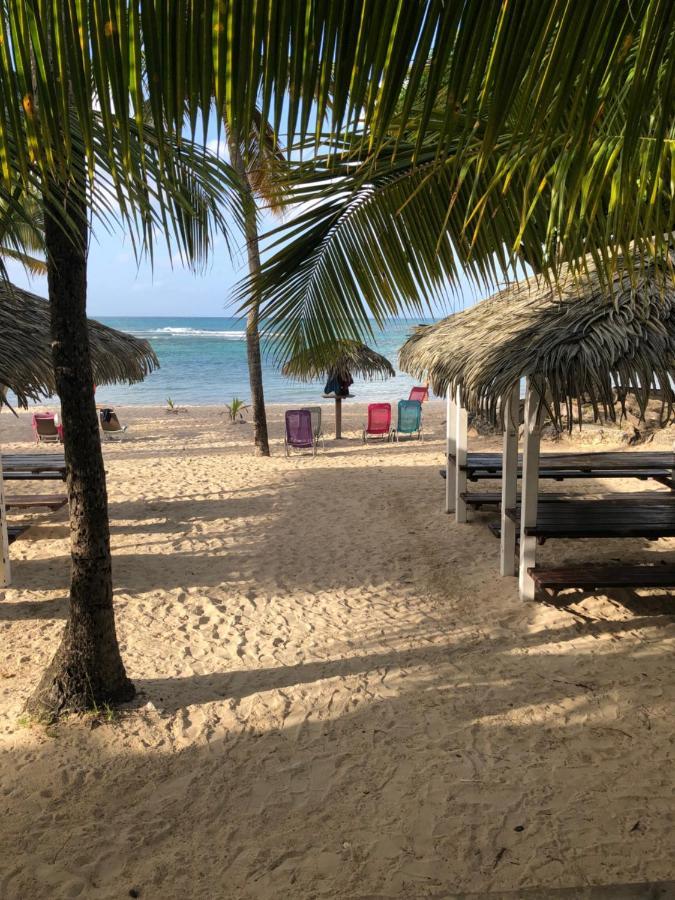 Brin D'Ile Anse Des Rochers Vue Mer A 50 M De La Plage Et Piscine Saint-Francois (Grande-Terre) Exterior foto
