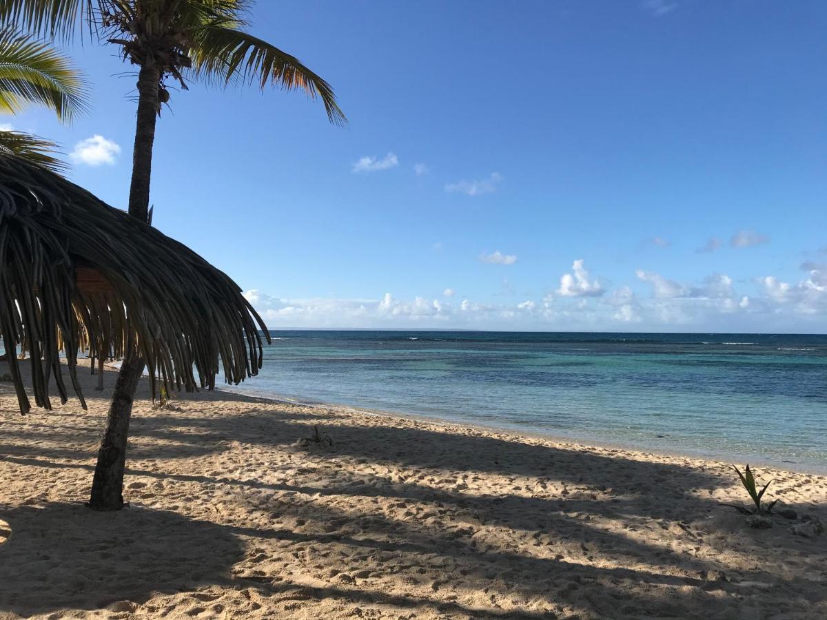 Brin D'Ile Anse Des Rochers Vue Mer A 50 M De La Plage Et Piscine Saint-Francois (Grande-Terre) Exterior foto
