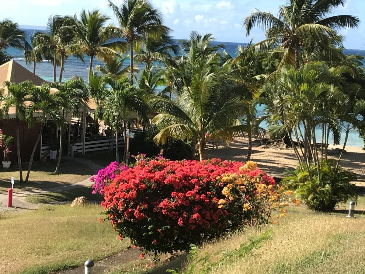 Brin D'Ile Anse Des Rochers Vue Mer A 50 M De La Plage Et Piscine Saint-Francois (Grande-Terre) Exterior foto
