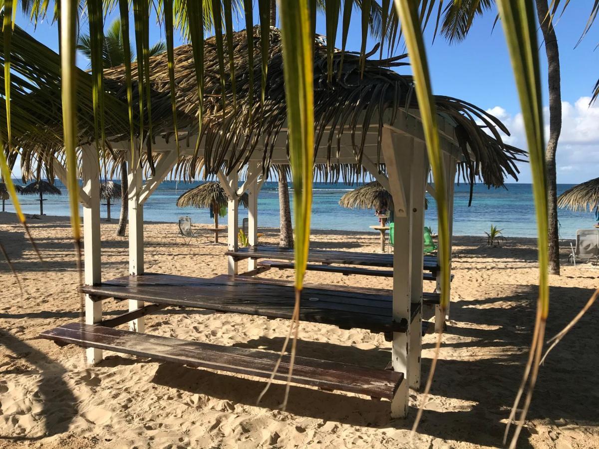 Brin D'Ile Anse Des Rochers Vue Mer A 50 M De La Plage Et Piscine Saint-Francois (Grande-Terre) Exterior foto