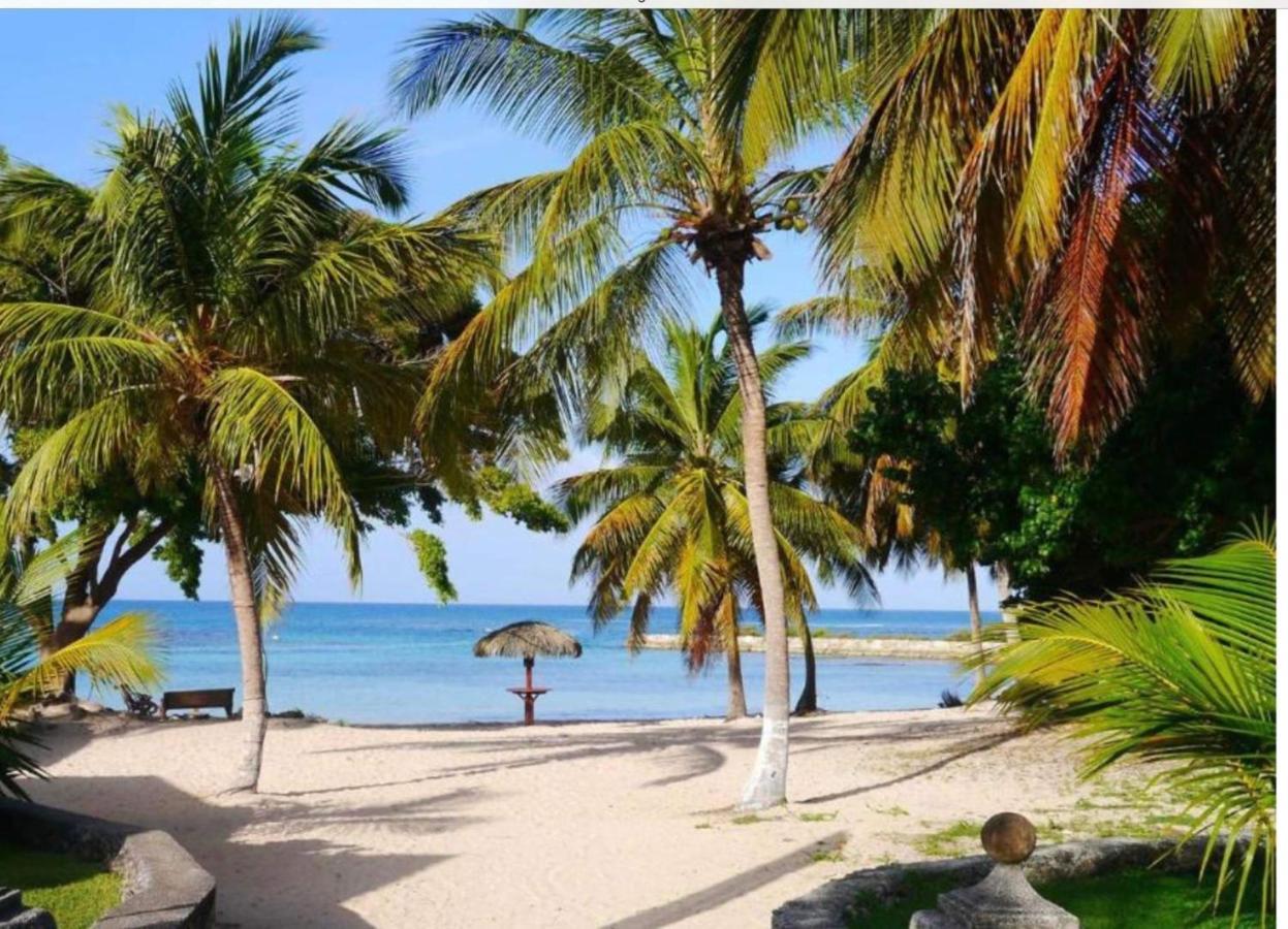 Brin D'Ile Anse Des Rochers Vue Mer A 50 M De La Plage Et Piscine Saint-Francois (Grande-Terre) Exterior foto