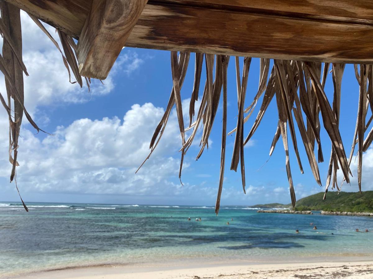 Brin D'Ile Anse Des Rochers Vue Mer A 50 M De La Plage Et Piscine Saint-Francois (Grande-Terre) Exterior foto