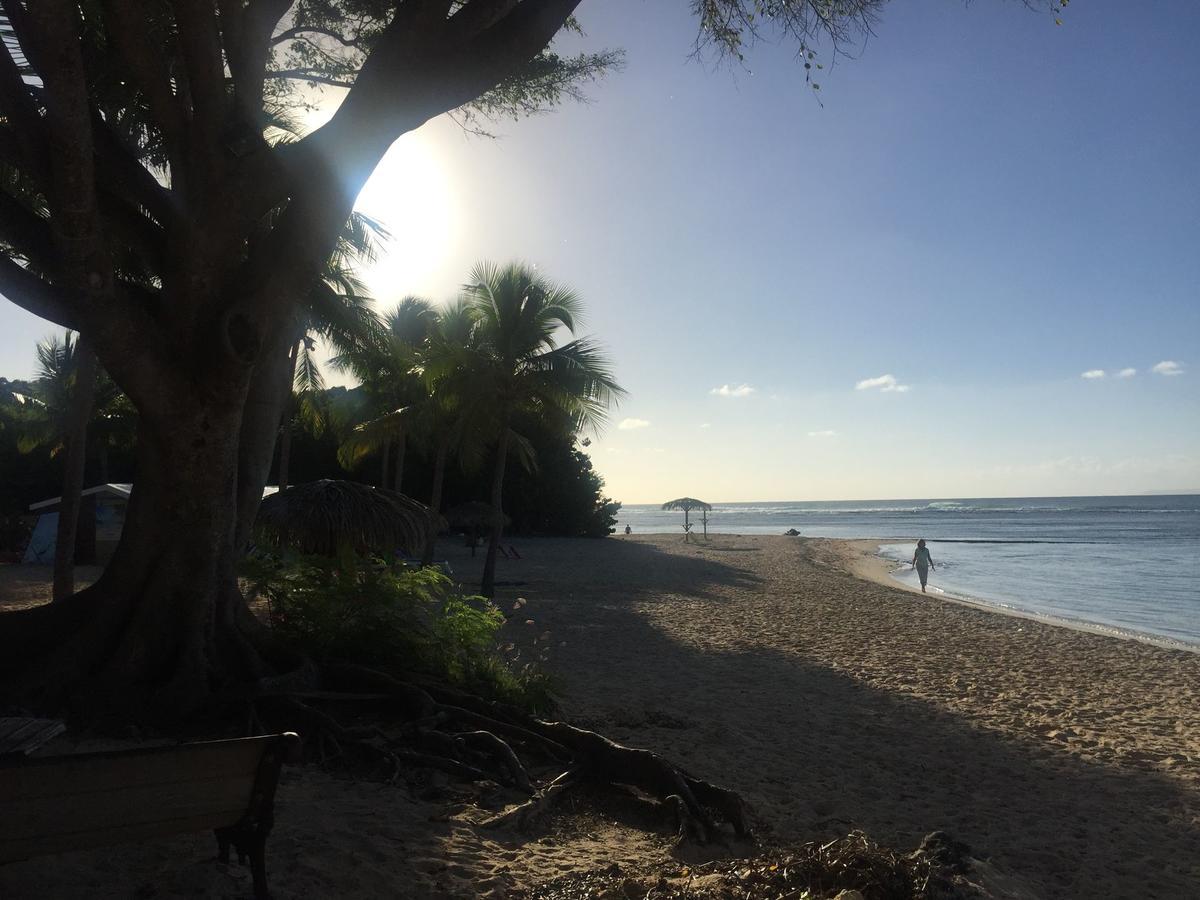 Brin D'Ile Anse Des Rochers Vue Mer A 50 M De La Plage Et Piscine Saint-Francois (Grande-Terre) Exterior foto