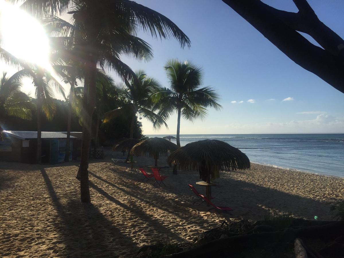 Brin D'Ile Anse Des Rochers Vue Mer A 50 M De La Plage Et Piscine Saint-Francois (Grande-Terre) Exterior foto