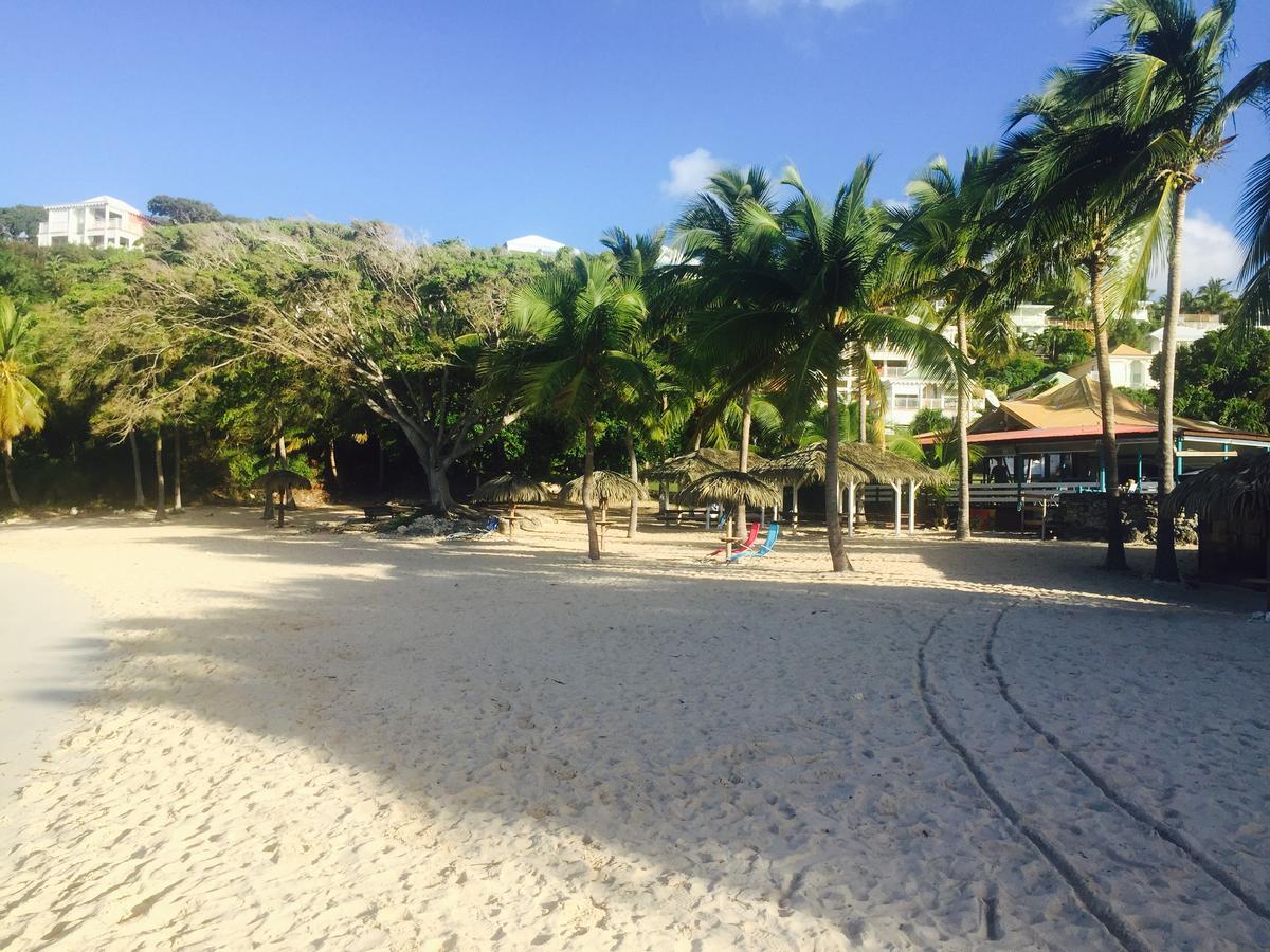 Brin D'Ile Anse Des Rochers Vue Mer A 50 M De La Plage Et Piscine Saint-Francois (Grande-Terre) Exterior foto